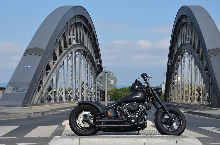 5 Most Wanted Harley Davidson Motorcycles Image